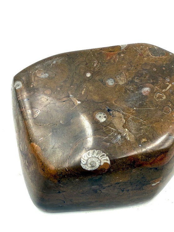 Image 1 of Luxury fossil brown marble ashtray bowl, France 1970s