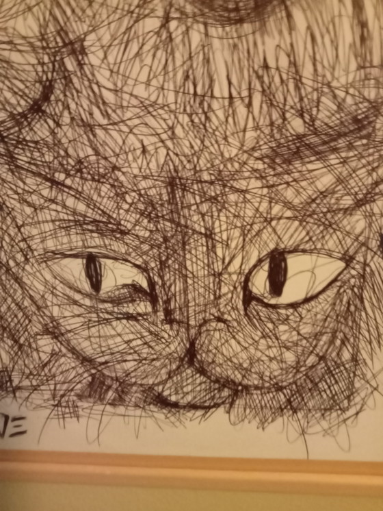 Image 1 of disegnare gatti
