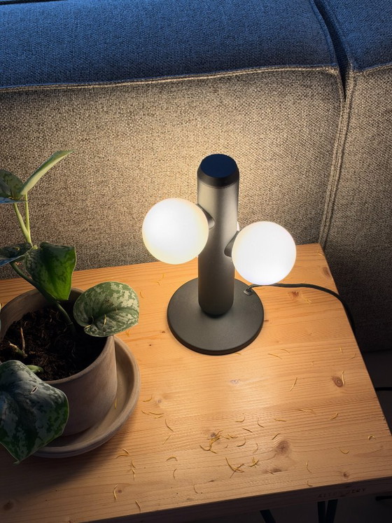 Lampada di design FEST – Lampade da tavolo, Metallo, Vetro (photo 6 of 8)
