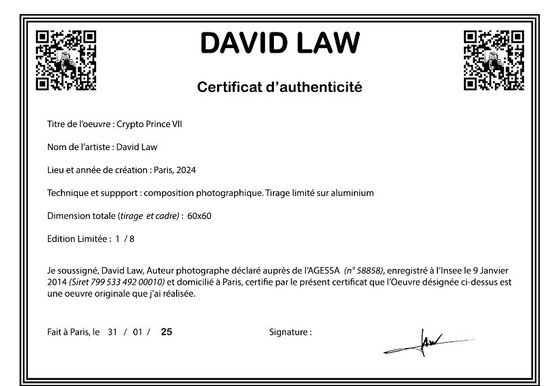 Crypto Prince VII - David Law – Lithographs & prints, Aluminium (photo 7 of 7)