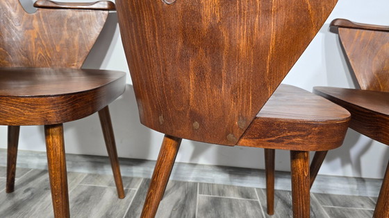 Image 1 of Esszimmerstühle von Oswald Haerdtl für Ton, 4er-Set