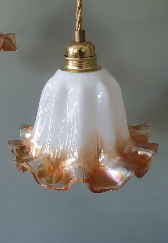 Set of Vintage Glass Pendant Lights. Floral / Flower-shaped Glass – Pendant lamps, Metal (photo 23 of 24)