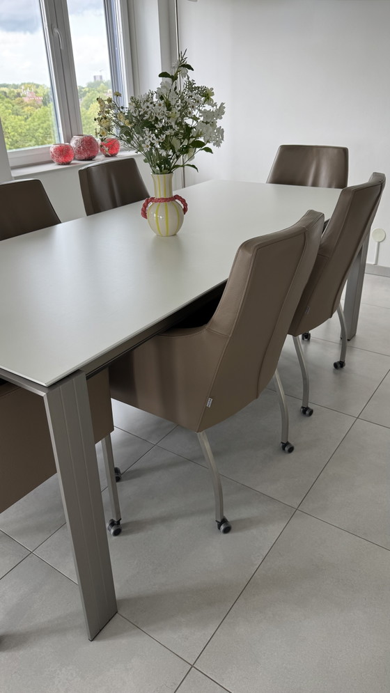 6 Sedie da pranzo di Brees New World – Bree's New World, Leather (photo 8 of 8)