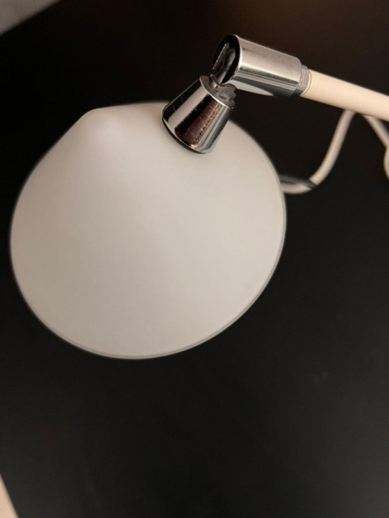 Image 1 of Pola design Amstelveen