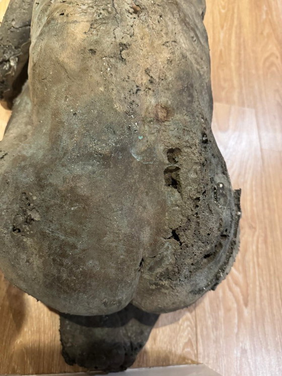 Image 1 of Bronzestatue von Weesel Bezemer, einzigartiges Werk