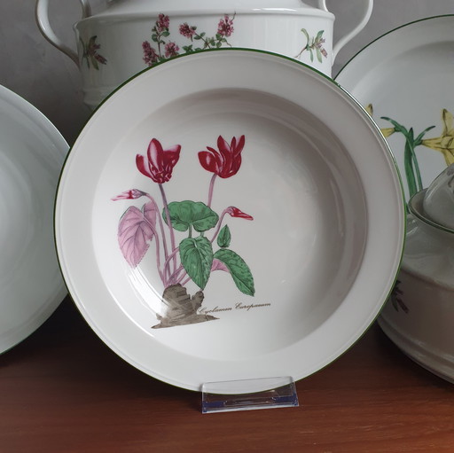 Dinnerware From Seltman Meadows Renate Flowers With Latin Designation