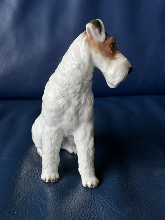 Image 1 of Chien Terrier Rosenthal vintage 1950