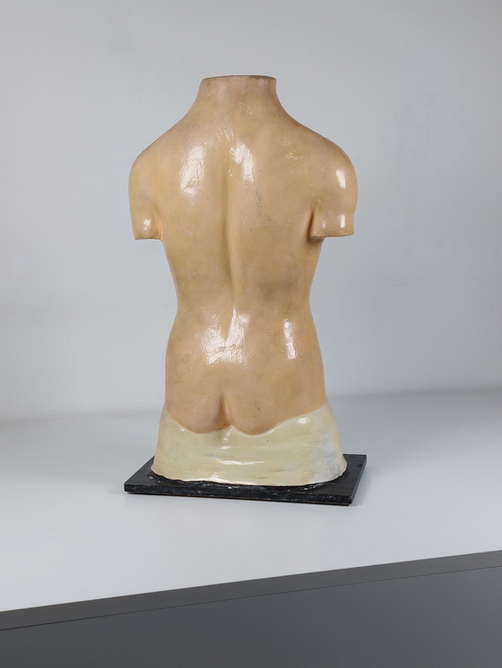 Image 1 of Vecchio modello anatomico didattico, gesso Phywe, torso anni '40