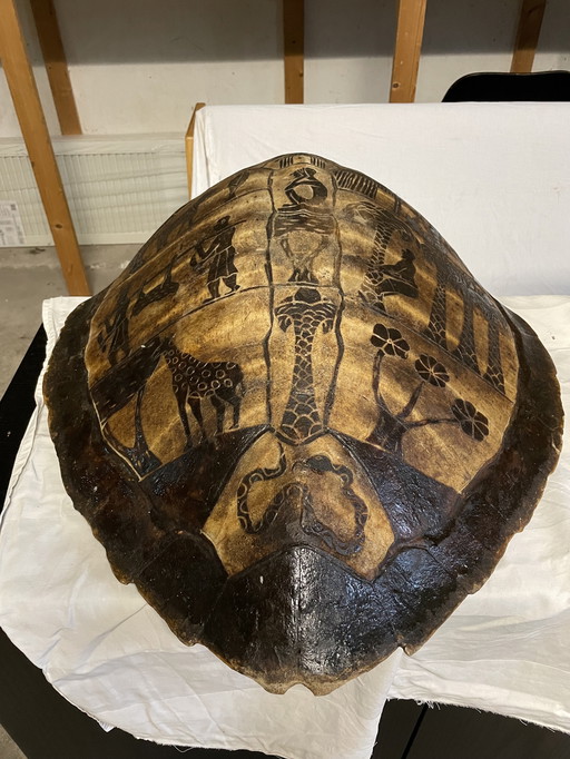 Turtle wall decoration