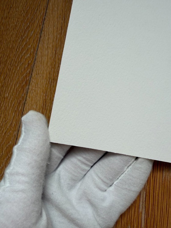 Image 1 of Anne Montiel, Formularios, 2013, Impreso en Bélgica