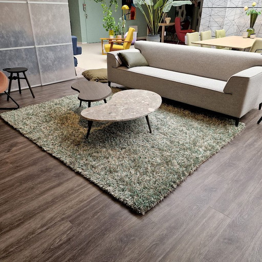 Brinker Carpets Trend 314 rug - 200x250