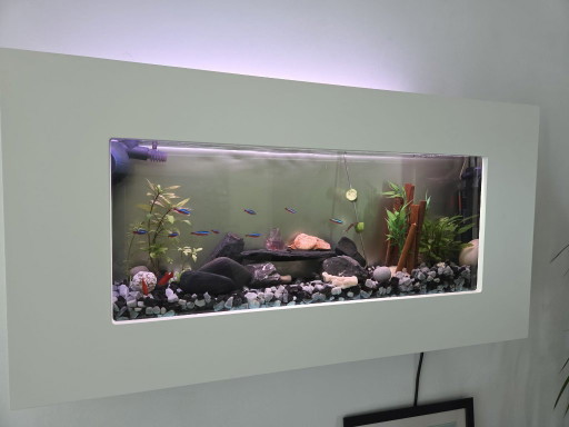 Acquario da parete unico con cornice bianca 80 cm – wanddecoratie, Other (photo 2 of 7)