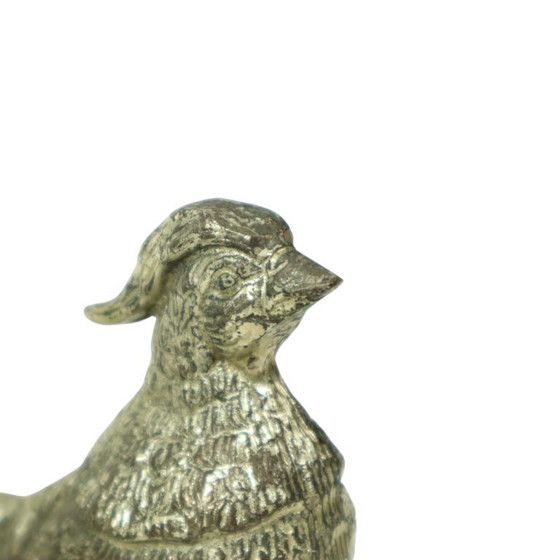 Image 1 of Images de faisans France