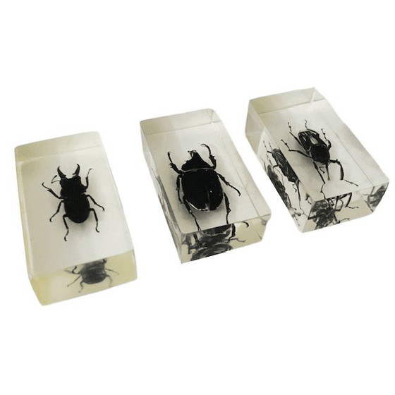 Image 1 of Resin insect set neushoornkever vliegend hert bamboe snuit kever presse-papier 1980's