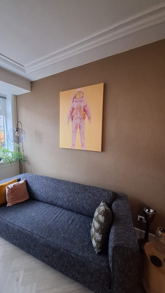 Image 1 of Wouter van Donselaar - Pink Astronaut