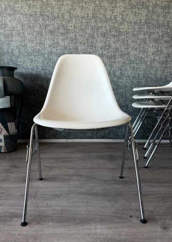 Image 1 of 4 Vitra Eames Plastic Side Chairs RE DSS, entworfen von Charles & Ray Eames für Vitra