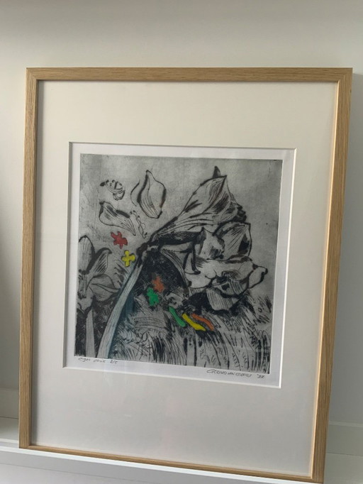 Colored and framed etching by Gerard van Kerkhof