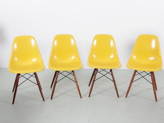Set van 4 DSW Charles Eames stoelen - Gele glasvezel Herman Miller editie – Eetkamerstoelen, Fiberglass (photo 3 of 18)