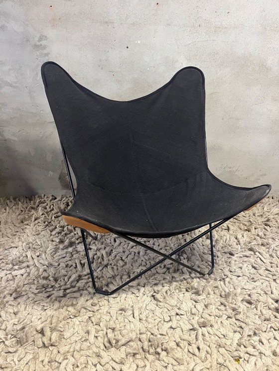 Image 1 of Cuero Butterfly Stuhl Mariposa Schwarz Canvas