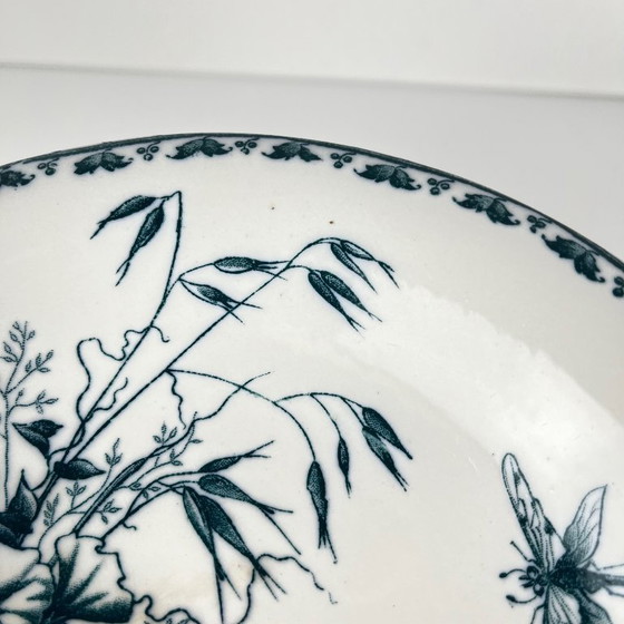 Image 1 of Frutero "Carmen", Sarreguemines, circa 1879 a 1918