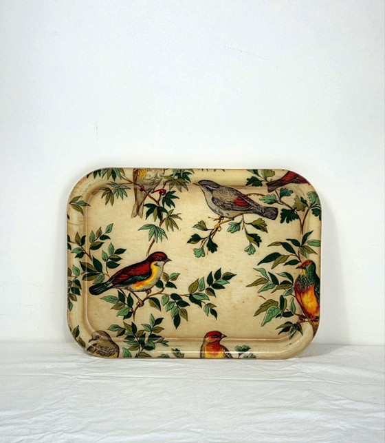 Vintage dienblad met exotische vogeldecoratie, 40 × 30 cm, Keukenaccessoires, Anders, Meerdere kleuren (foto 2 van 7)