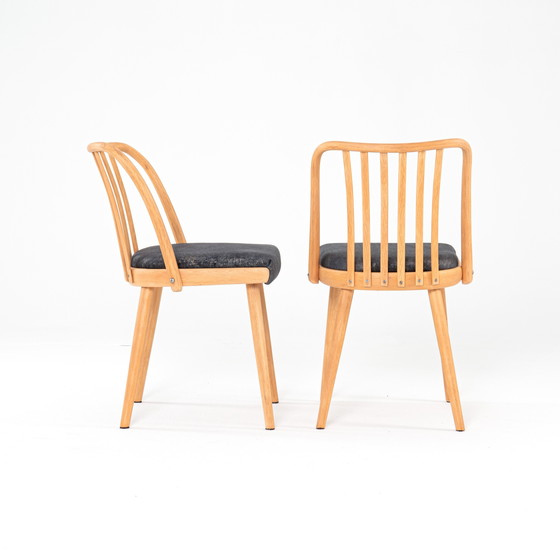 Image 1 of 4x dining chairs by Antonin Suman for Jitona 1960s