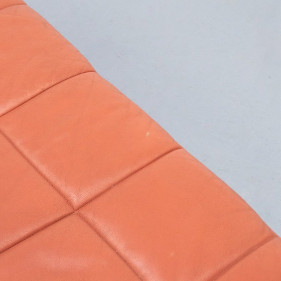 Image 1 of Hydra Sirius Zweisitzer-Sofa Poltrona Frau