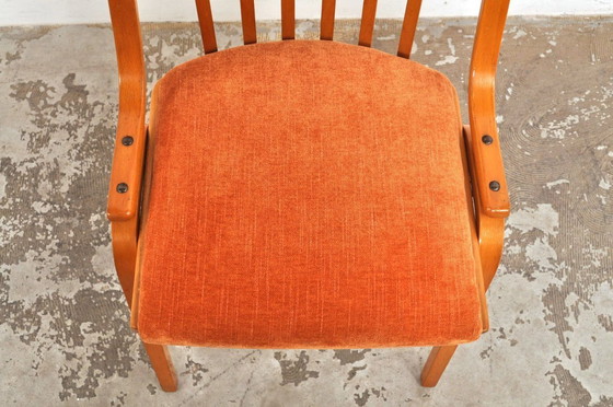 Image 1 of Vintage Ludvik Volak chairs, set of 4, 1960s