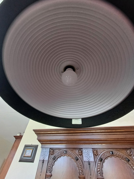 Image 1 of Lumina Omega 42