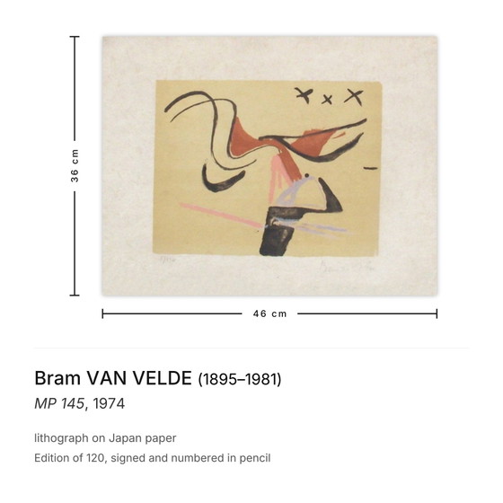 Bram Van Velde signierte Lithographie MP 145 1974 – Lithographien & Drucke, Paper (photo 3 of 5)