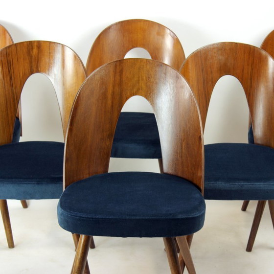 Image 1 of Set Of 6 Iconic Tatra Chairs In Walnut & Velvet By šuman, Nabytok Pravenec 1960s