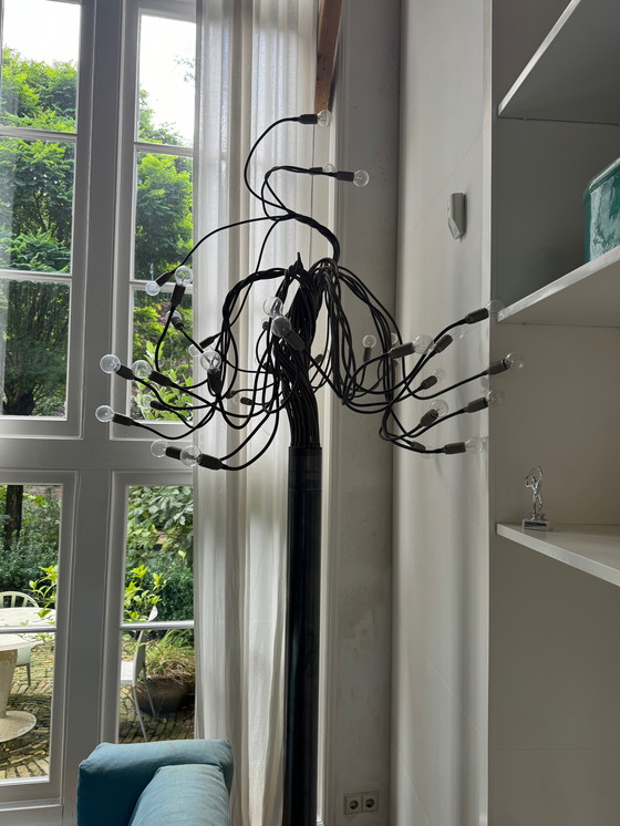 Image 1 of Catellani & Smith - Albero Della