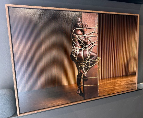 Image 1 of Atrapado en la red - Dirty Archangel