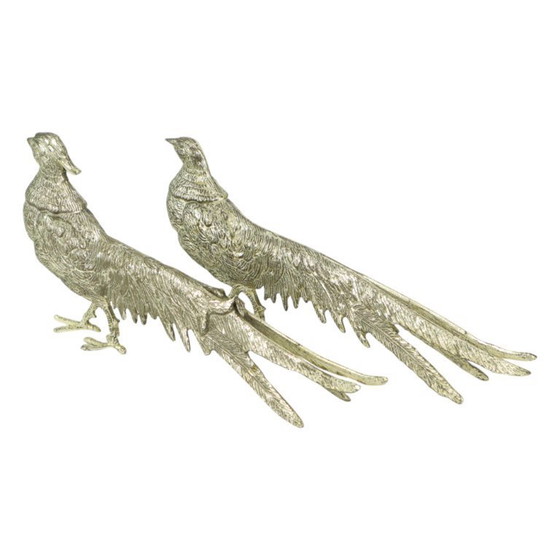 Image 1 of Images de faisans France