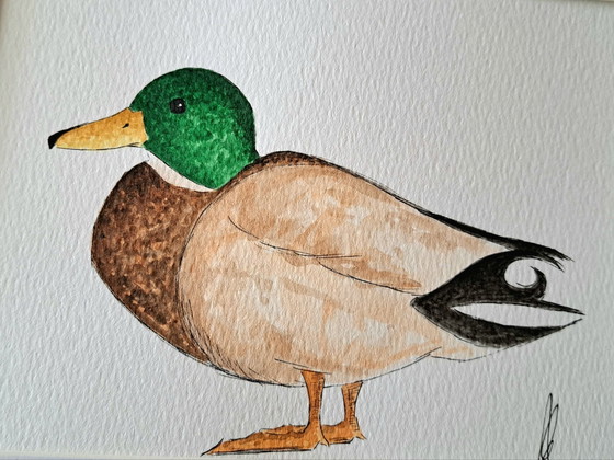 Peinture aquarelle canard, cane | Originale avec cadre, Peintures et dessins, Papier, Marron (photo 3 sur 6)