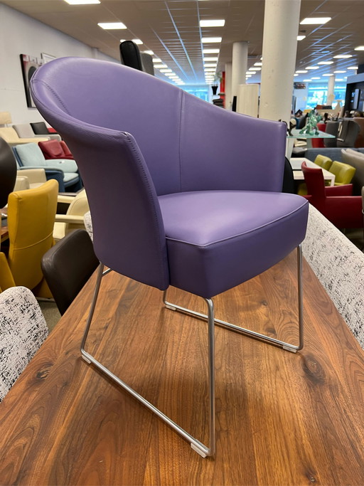 4 x Montis Floris Esszimmerstuhl Showroom-Modell