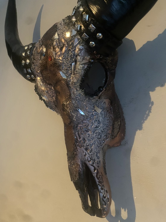 Image 1 of Magnifique crâne de buffle d'eau