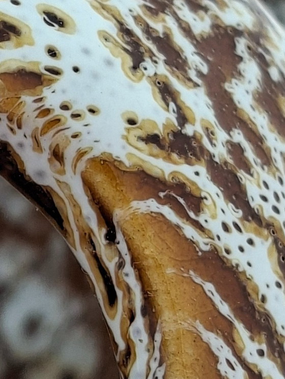 Image 1 of Vintage Bay Keramik Spage Age mushroom vase | 96-20