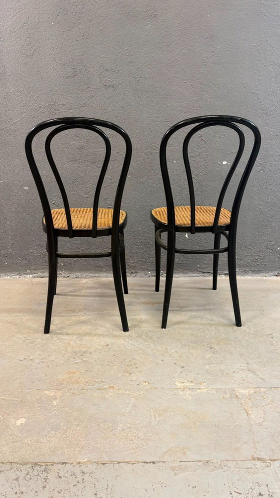 Image 1 of Een paar gebogen houten stoelen, met Weense rieten zittingen, jaren 60, Polen