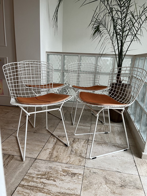 Knoll Bertoia Wire Chair, Sidechair, Model 420. Incl Original Cushions.