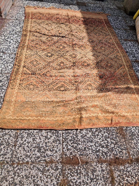 Image 1 of Handgeknoopt Berber kleed wol 267x166cm