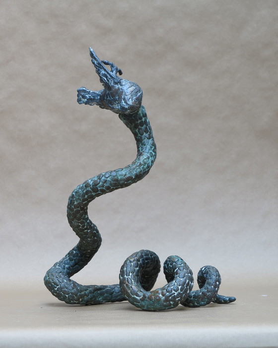 Image 1 of Honere Didden.vie et mort serpent et oiseau