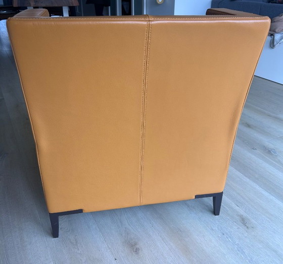 Poltrona color cognac – Poltrone, Pelle, Legno (photo 3 of 6)