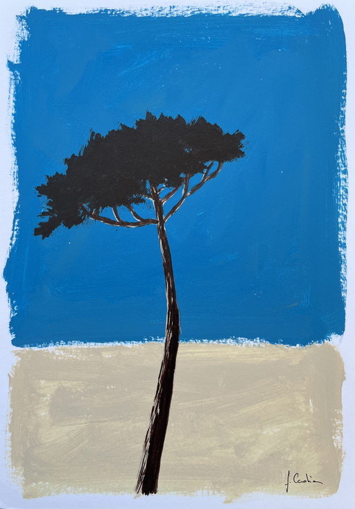 Acrylic and ink, umbrella pine, A4