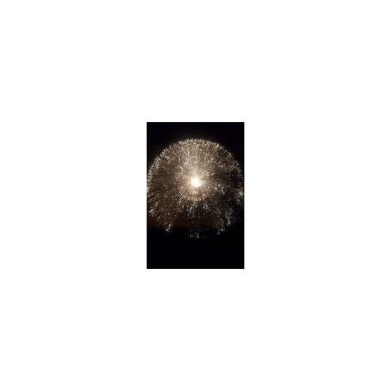 Image 1 of Vintage siber swivel lamp, 1970s