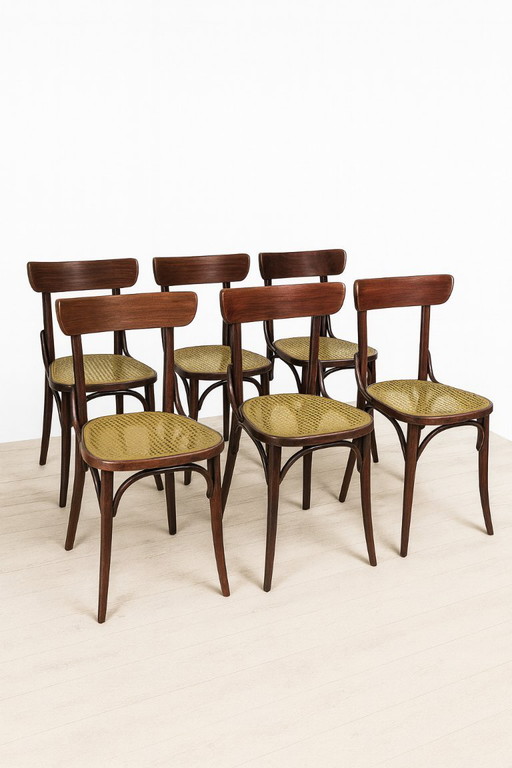 Set of 6 Dining Chairs, Thonet Style, 1960s, Czechoslovakia