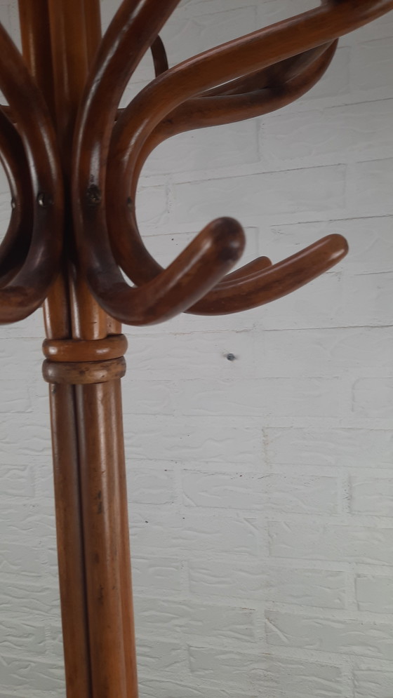 Image 1 of Appendiabiti da terra Thonet