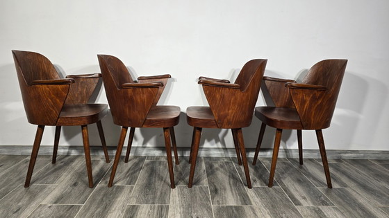 Image 1 of Esszimmerstühle von Oswald Haerdtl für Ton, 4er-Set