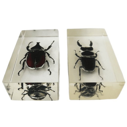Vintage resin insect set rhinoceros beetle stag beetle paperweight resin 1980s