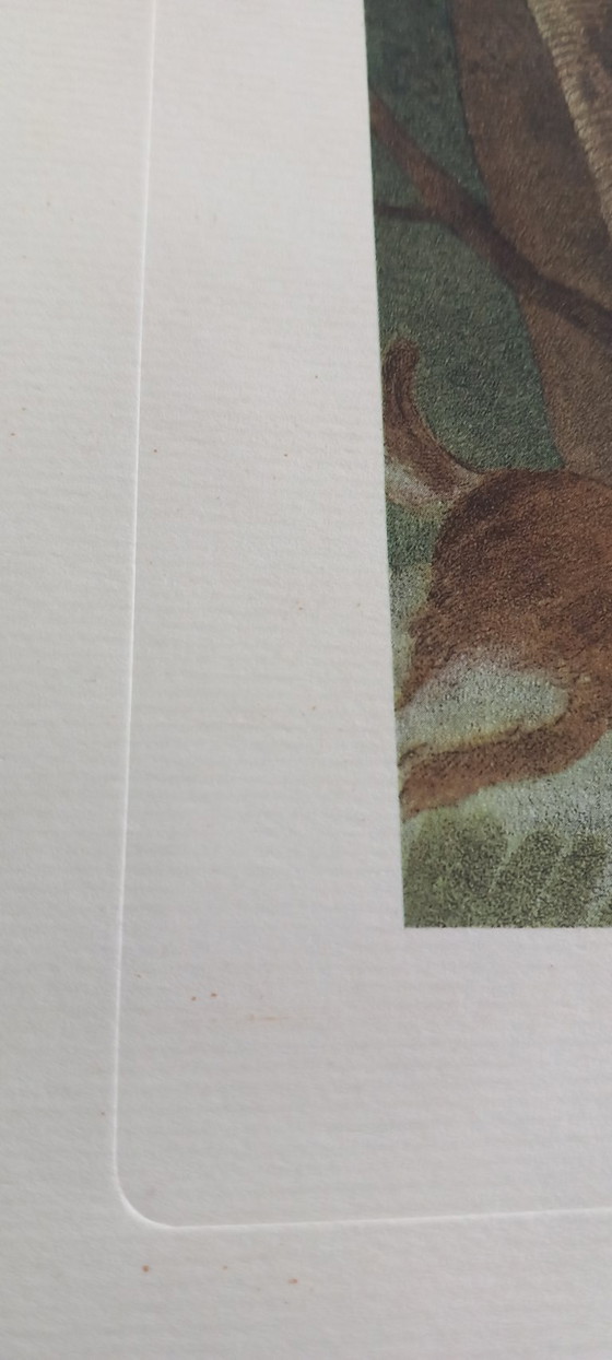 Image 1 of Antiker handkolorierter Kupferstich „Schnepfenjagd“ – Jagdszene – ca. frühes 19. Jahrhundert